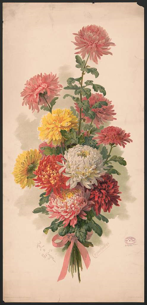 Paul de Longpré "Chrysanthemums" 1895